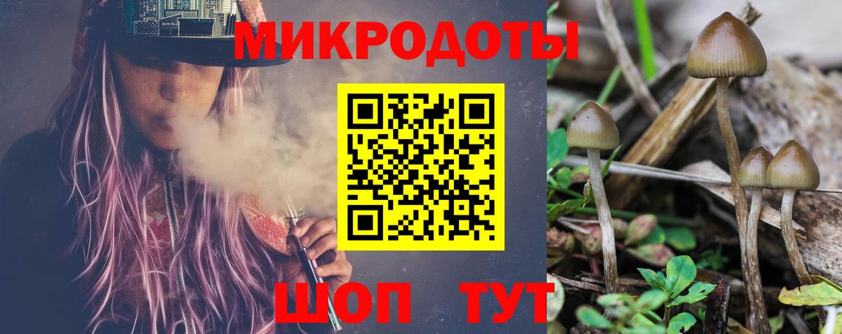 Галлюциногенные грибы Cubensis Изобильный