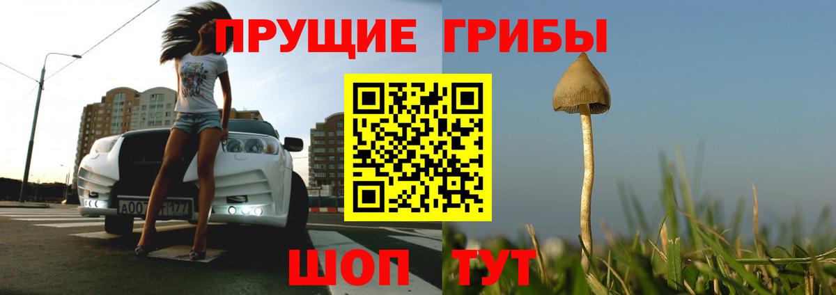 купить   Вход с VPN  Изобильный  Псилоцибиновые грибы Cubensis 